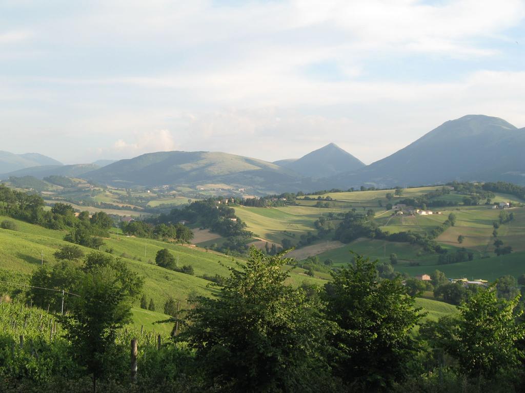 Locanda Dell'Istrice Camerino Rom bilde